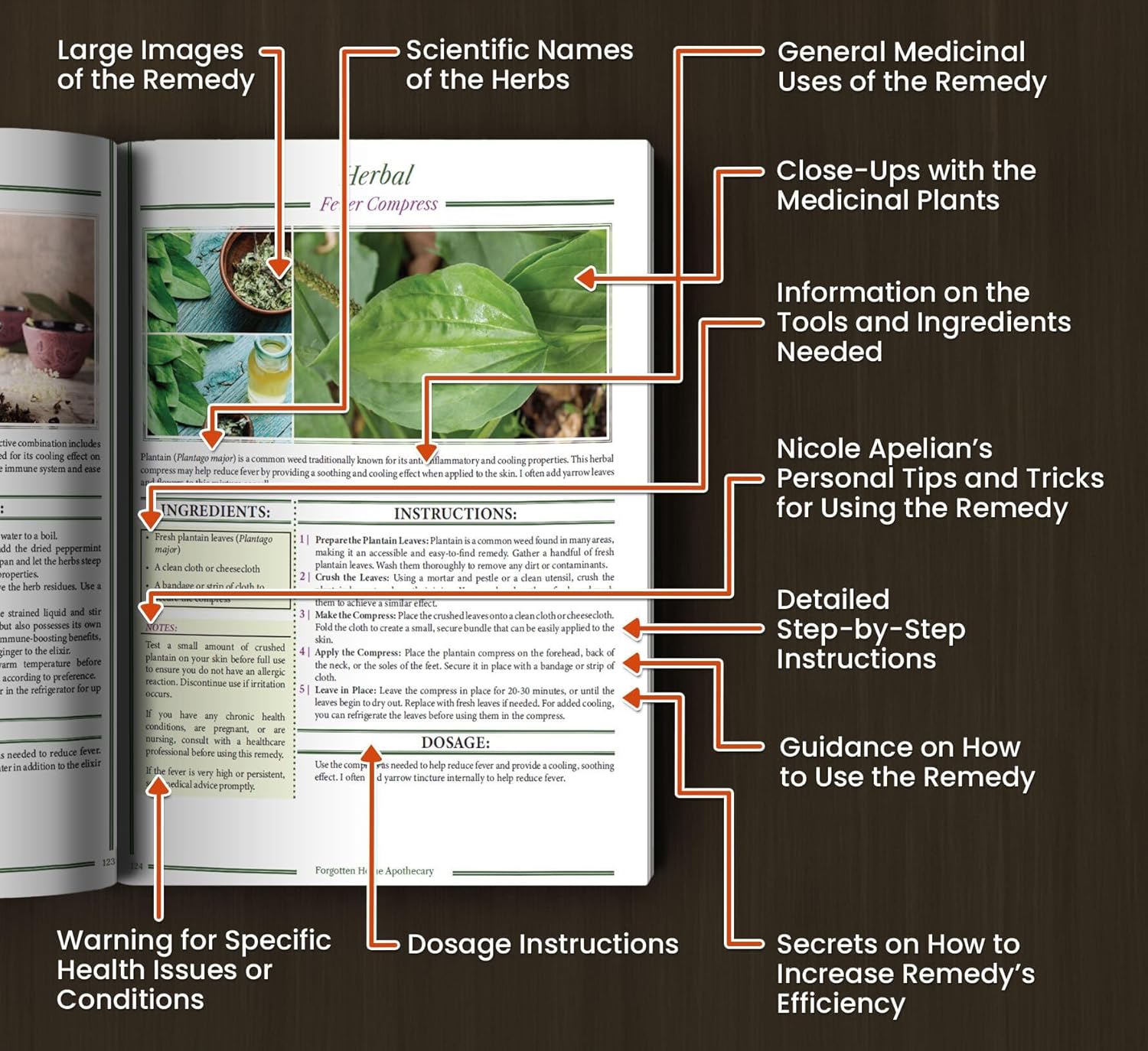 The Modern Guide to Natural Healing at Home